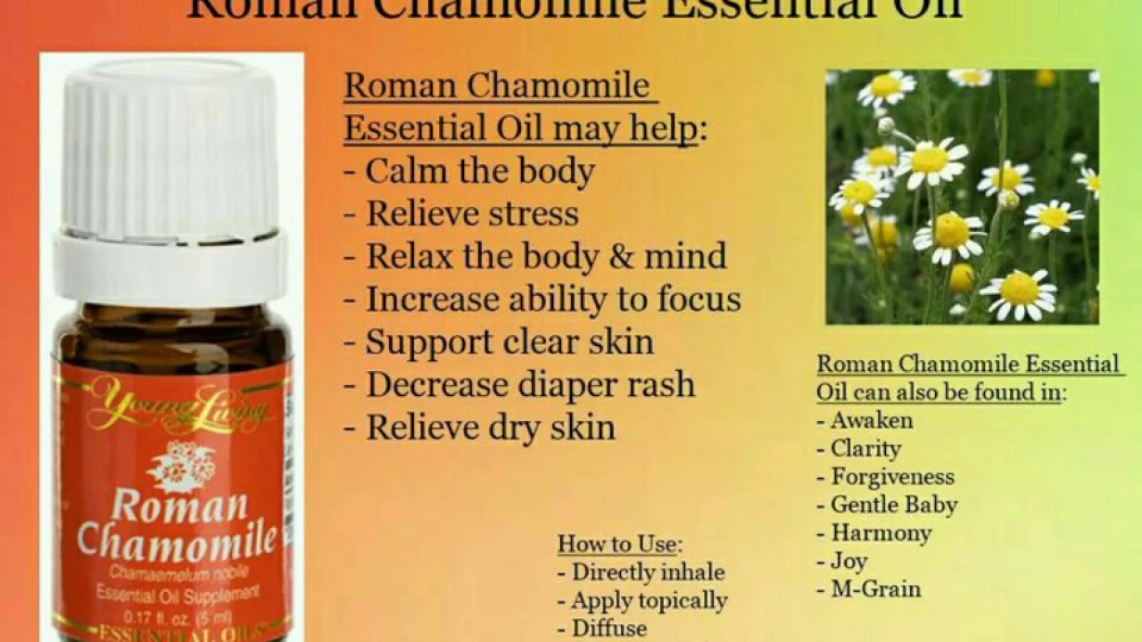 Roman Chamomile: The Essential Dietary Supplement for a Balanced Mind and Body